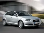 Audi A3 (8PA) 2 покоління, 2-й рестайлінг, хэтчбек 5 дв. (2008 - 2012)