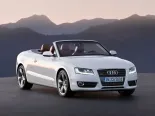 Audi A5 (8F7) 1 покоління, відкритий кузов (2007 - 2011)