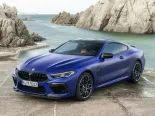 BMW M8 (F92) 1 покоління, купе (2019 - 2022)