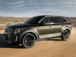 Kia Telluride 1 покоління, джип suv 5 дв. (2019 - 2022)