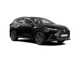 Lexus NX250 (AAZA25) 2 покоління, джип suv 5 дв. (2021 -  н.в.)