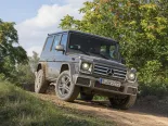 Mercedes-Benz G-Class (W463) 2 покоління, 7-й рестайлінг, джип suv 5 дв. (2015 - 2018)