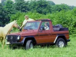 Mercedes-Benz G-Class (W4210, W4216, W4218, W4310, W4312, W4317) 1 покоління, джип suv 5 дв. (1979 - 1991)