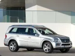 Mercedes-Benz GL-Class (1823, 1824, 1825, 1828, 1871, 1886) 1 покоління, рестайлінг, джип suv 5 дв. (2009 - 2012)