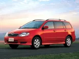 Toyota Corolla Fielder (CE121G, NZE121G, NZE124G, ZZE122G, ZZE123G, ZZE124G) 1 покоління, універсал (2000 - 2002)