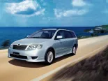 Toyota Corolla Fielder (NZE121G, NZE124G, ZZE122G, ZZE124G, ZZE123G) 1 покоління, 2-й рестайлінг, універсал (2004 - 2006)