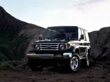 Toyota Land Cruiser (HZJ76, HZJ76K, HZJ76V) 8 покоління, 2-й рестайлінг, джип suv 5 дв. (1999 - 2004)